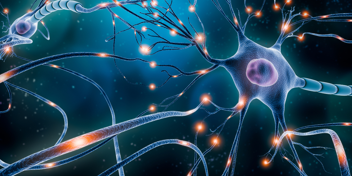 biological effects of laser therapy